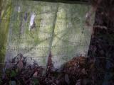 image of grave number 914447